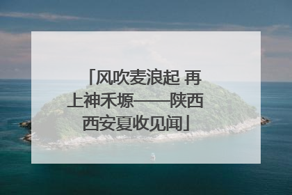 风吹麦浪起 再上神禾塬——陕西西安夏收见闻