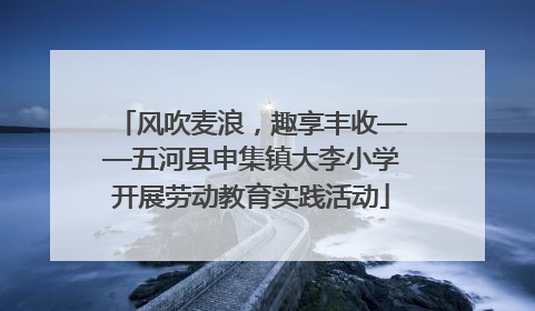 风吹麦浪，趣享丰收——五河县申集镇大李小学开展劳动教育实践活动