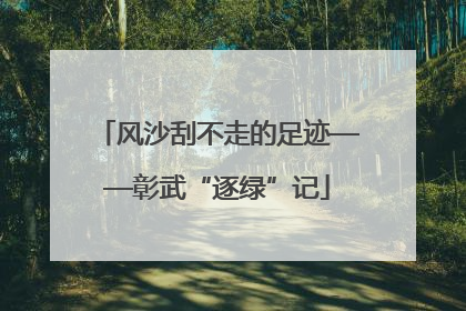 风沙刮不走的足迹——彰武“逐绿”记