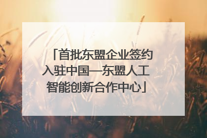 首批东盟企业签约入驻中国—东盟人工智能创新合作中心