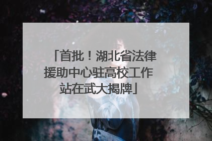 首批！湖北省法律援助中心驻高校工作站在武大揭牌