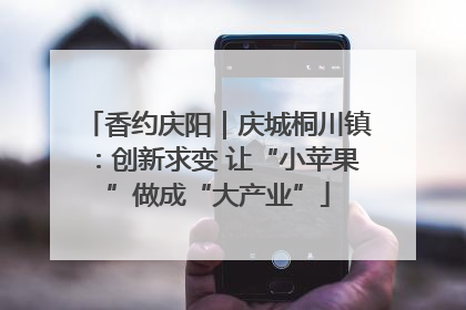 香约庆阳｜庆城桐川镇：创新求变 让“小苹果”做成“大产业”