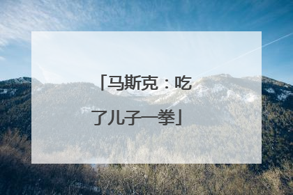 马斯克：吃了儿子一拳