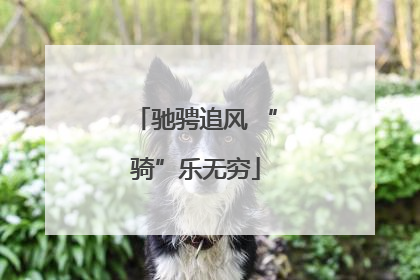 驰骋追风 “骑”乐无穷