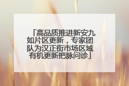 高品质推进新安九如片区更新，专家团队为汉正街市场区域有机更新把脉问诊