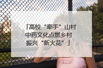高校“牵手”山村 中药文化点燃乡村振兴“新火花”
