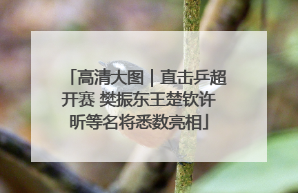 高清大图｜直击乒超开赛 樊振东王楚钦许昕等名将悉数亮相
