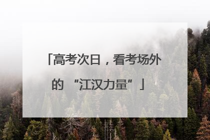 高考次日，看考场外的 “江汉力量”