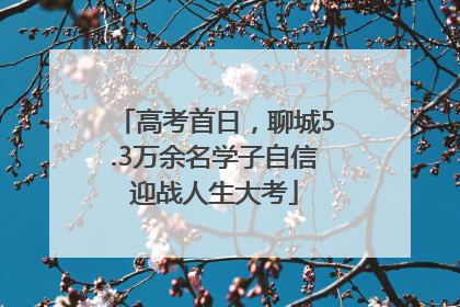 高考首日，聊城5.3万余名学子自信迎战人生大考