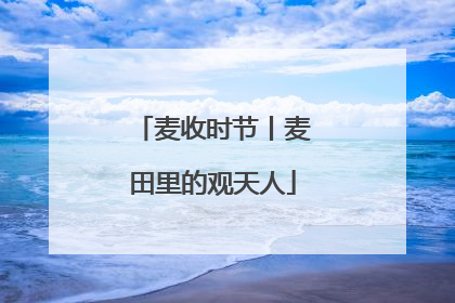 麦收时节丨麦田里的观天人