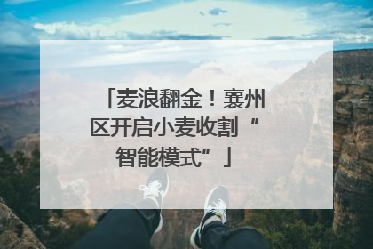 麦浪翻金！襄州区开启小麦收割“智能模式”