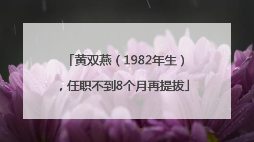 黄双燕（1982年生），任职不到8个月再提拔