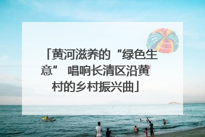 黄河滋养的“绿色生意” 唱响长清区沿黄村的乡村振兴曲