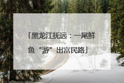 黑龙江抚远：一尾鲜鱼“游”出富民路