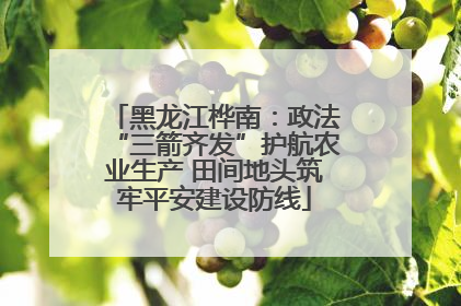 黑龙江桦南：政法“三箭齐发”护航农业生产 田间地头筑牢平安建设防线