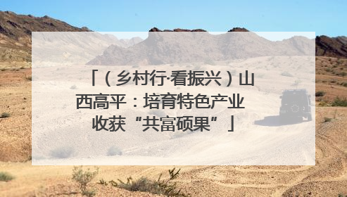 （乡村行·看振兴）山西高平：培育特色产业 收获“共富硕果”