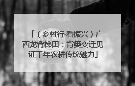 （乡村行·看振兴）广西龙脊梯田：背篓变迁见证千年农耕传统魅力