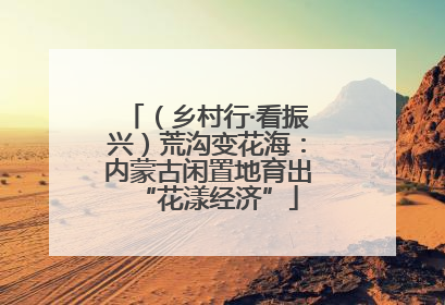 （乡村行·看振兴）荒沟变花海：内蒙古闲置地育出“花漾经济”