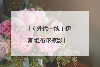 （外代一线）伊斯坦布尔掠影
