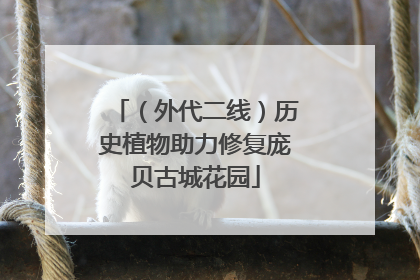 （外代二线）历史植物助力修复庞贝古城花园