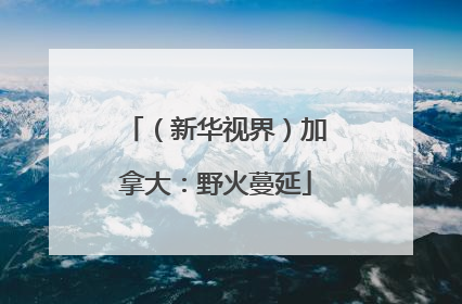 （新华视界）加拿大：野火蔓延