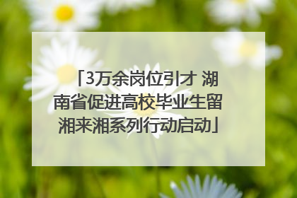 3万余岗位引才 湖南省促进高校毕业生留湘来湘系列行动启动
