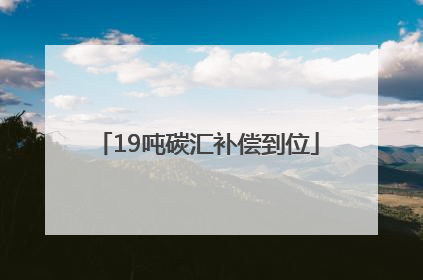 19吨碳汇补偿到位