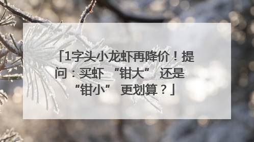 1字头小龙虾再降价！提问：买虾 “钳大” 还是 “钳小” 更划算？