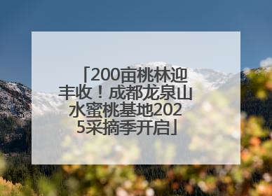 200亩桃林迎丰收！成都龙泉山水蜜桃基地2025采摘季开启