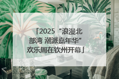 2025“浪漫北部湾 潮派嘉年华”欢乐周在钦州开幕
