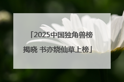 2025中国独角兽榜揭晓 书亦烧仙草上榜