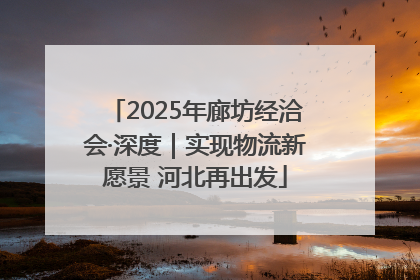 2025年廊坊经洽会·深度｜实现物流新愿景 河北再出发
