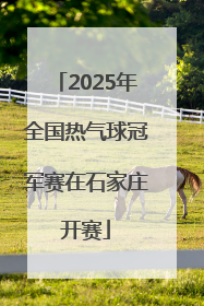2025年全国热气球冠军赛在石家庄开赛