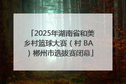 2025年湖南省和美乡村篮球大赛（村 BA）郴州市选拔赛闭幕