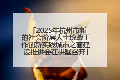 2025年杭州市新的社会阶层人士统战工作创新实践城市之窗建设推进会在拱墅召开