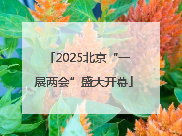 2025北京“一展两会”盛大开幕