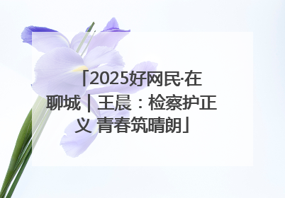 2025好网民·在聊城｜王晨：检察护正义 青春筑晴朗