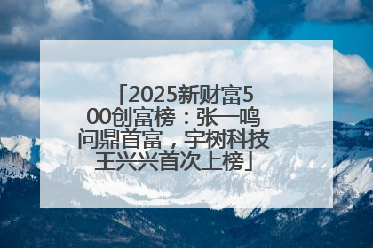 2025新财富500创富榜：张一鸣问鼎首富，宇树科技王兴兴首次上榜