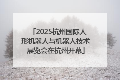 2025杭州国际人形机器人与机器人技术展览会在杭州开幕