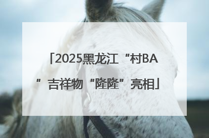 2025黑龙江“村BA”吉祥物“隆隆”亮相