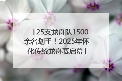 25支龙舟队1500余名划手！2025年怀化传统龙舟赛启幕