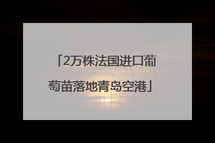 2万株法国进口葡萄苗落地青岛空港