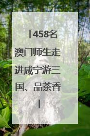 458名澳门师生走进咸宁游三国、品茶香