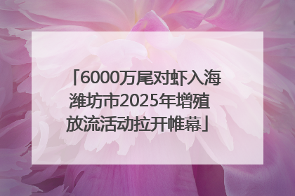 6000万尾对虾入海 潍坊市2025年增殖放流活动拉开帷幕