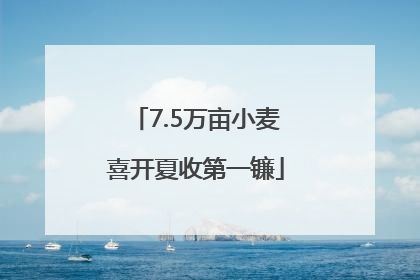 7.5万亩小麦喜开夏收第一镰