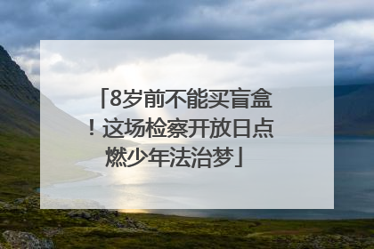8岁前不能买盲盒！这场检察开放日点燃少年法治梦