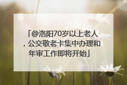 @洛阳70岁以上老人，公交敬老卡集中办理和年审工作即将开始