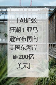 AI扩张狂潮！亚马逊宣布再向美国东海岸砸200亿美元